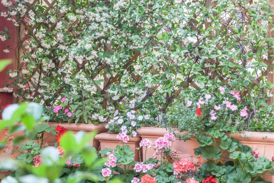 Monti Garden Hotel Rome Luaran gambar